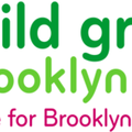 A Child Grows in Brooklyn