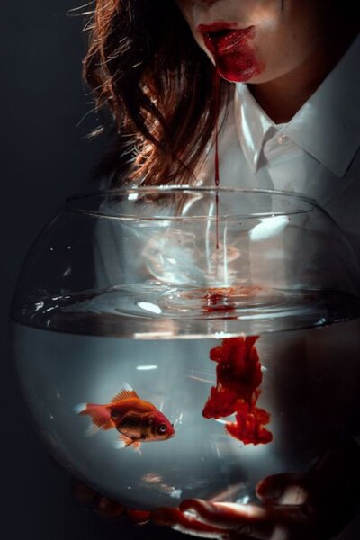 Agamemnon: The Circle of Blood