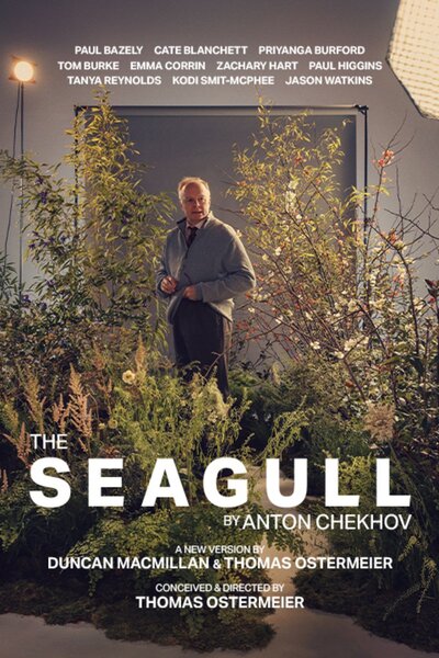 The Seagull (Barbican)
