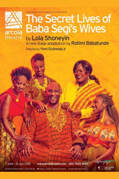 The Secret Lives of Baba Segi's Wives