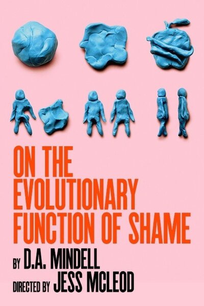 On the Evolutionary Function of Shame