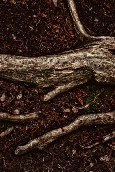 The Great Privation (How to flip ten cents into a dollar)