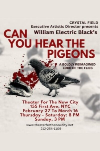 CAN YOU HEAR THE PIGEONS