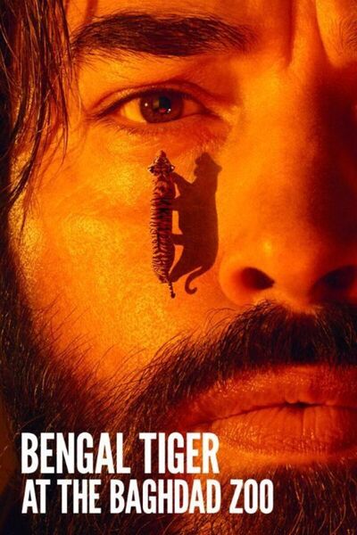 Bengal Tiger at the Baghdad Zoo