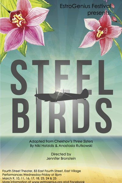 Steel Birds