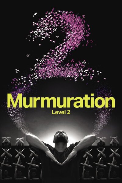 Murmuration Level 2