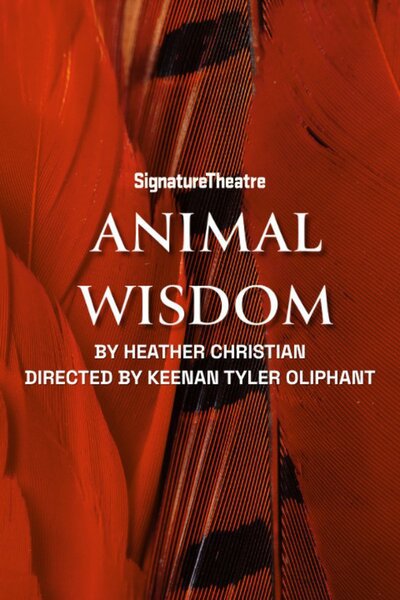 Animal Wisdom (Signature Theatre)
