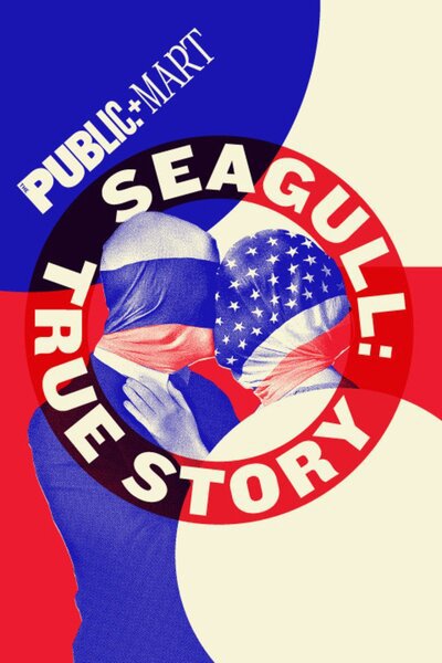 Seagull: True Story (The Public Theater)