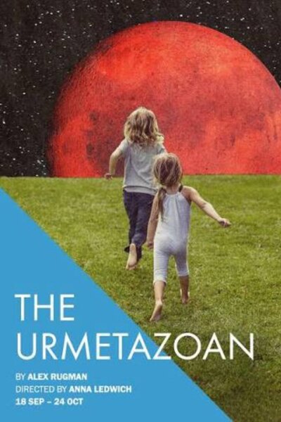 The Urmetazoan