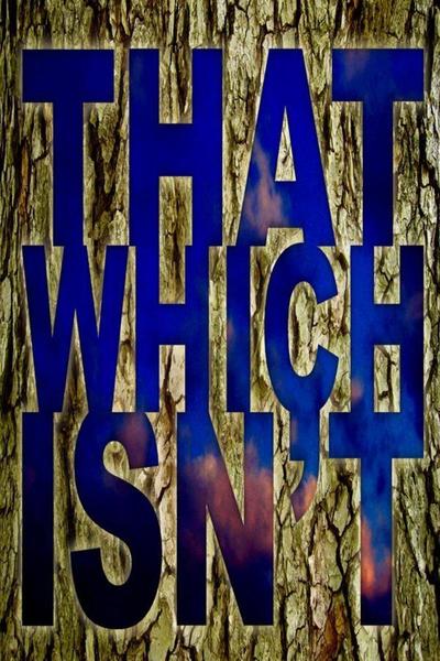 That Which Isn't