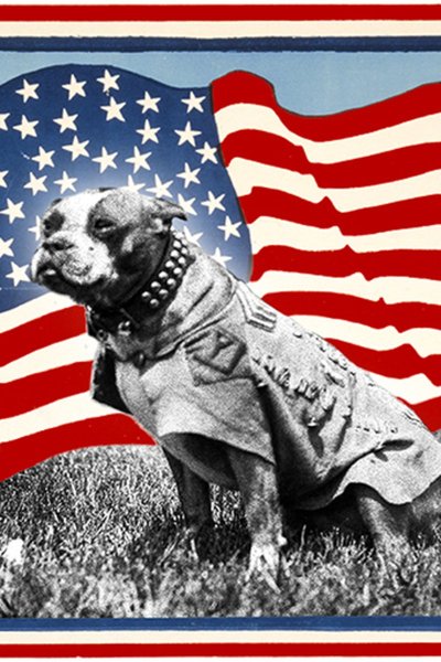 Sgt. Stubby: The Great American War Dog Musical
