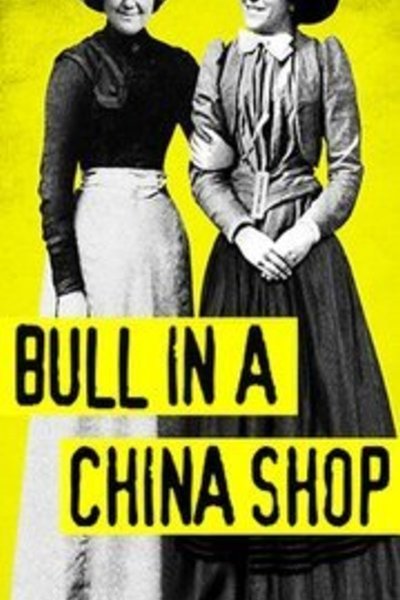 Bull in a China Shop