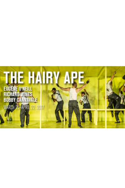 The Hairy Ape