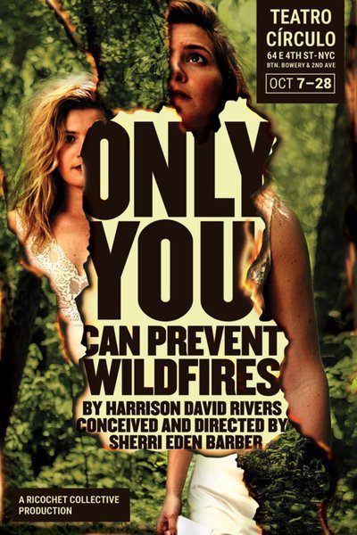 Only You Can Prevent Wildfires
