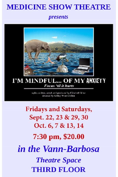 I'm Mindful...Of My Anxiety