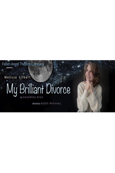 My Brilliant Divorce