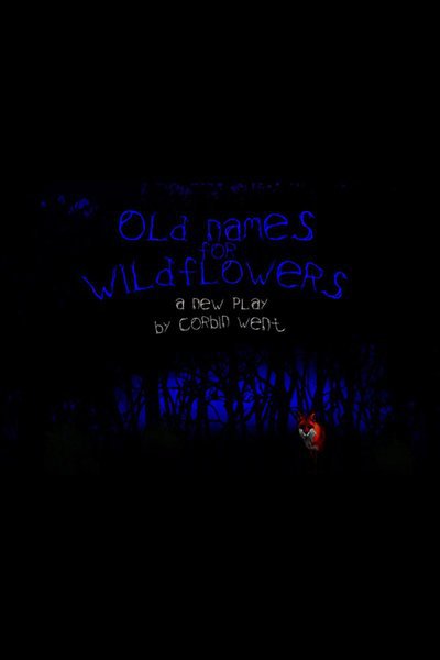 Old Names for Wildflowers