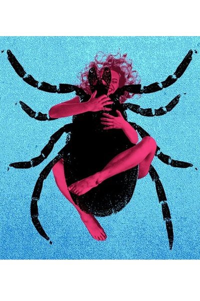 The Pain of My Belligerence