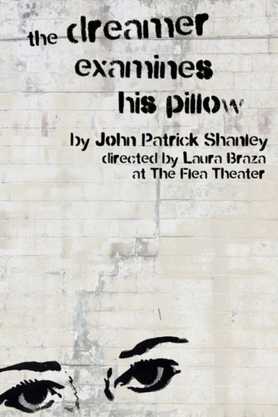 The Dreamer Examines His Pillow