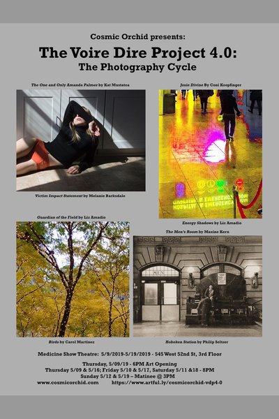 The Voire Dire Project 4.0: The Photography Cycle