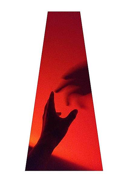 Anatomy of a Suicide