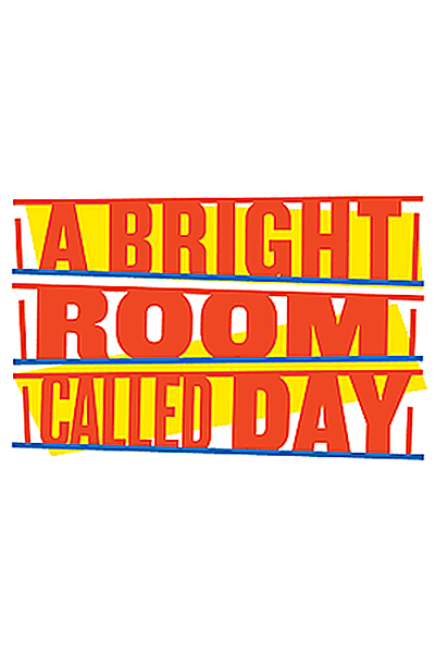 A Bright Room Called Day