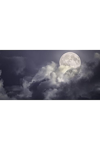 Jules Verne's From The Earth To The Moon