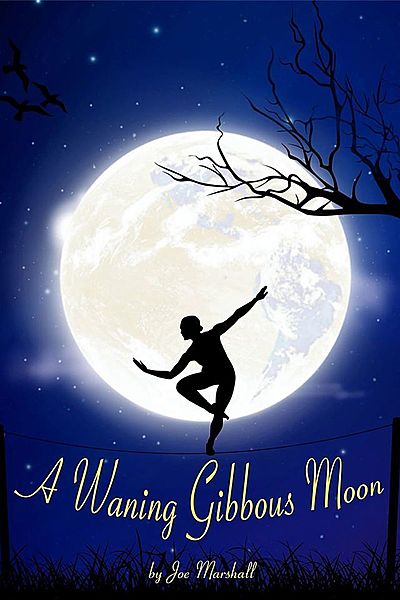 A Waning Gibbous Moon