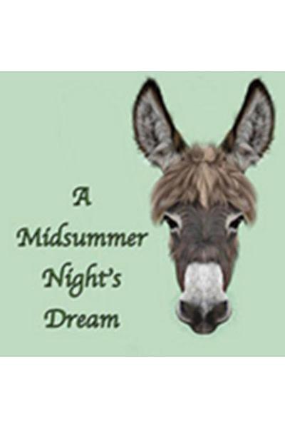 A Midsummer Night's Dream (The Players Theatre)
