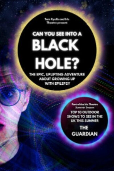 Can You See Into a Black Hole?