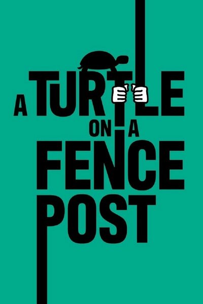 A Turtle On A Fence Post