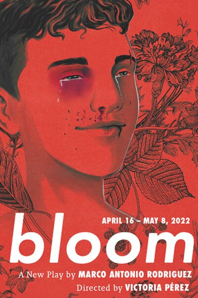 Bloom