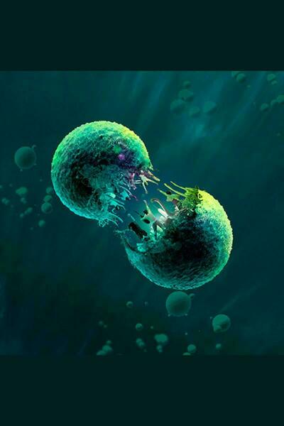 Yeast Nation: The Triumph of Life (London)