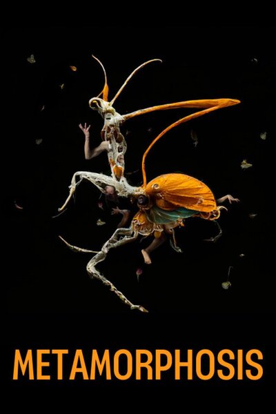 Metamorphosis (Lyric Hammersmith Theatre)
