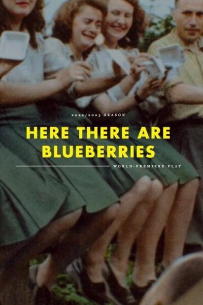 Here There Are Blueberries