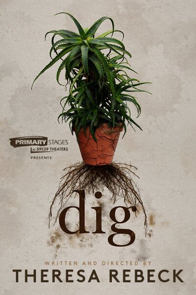 Dig
