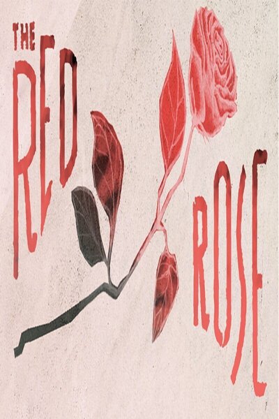 The Red Rose