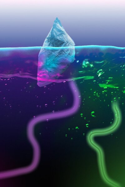 The Ice at the End of The World